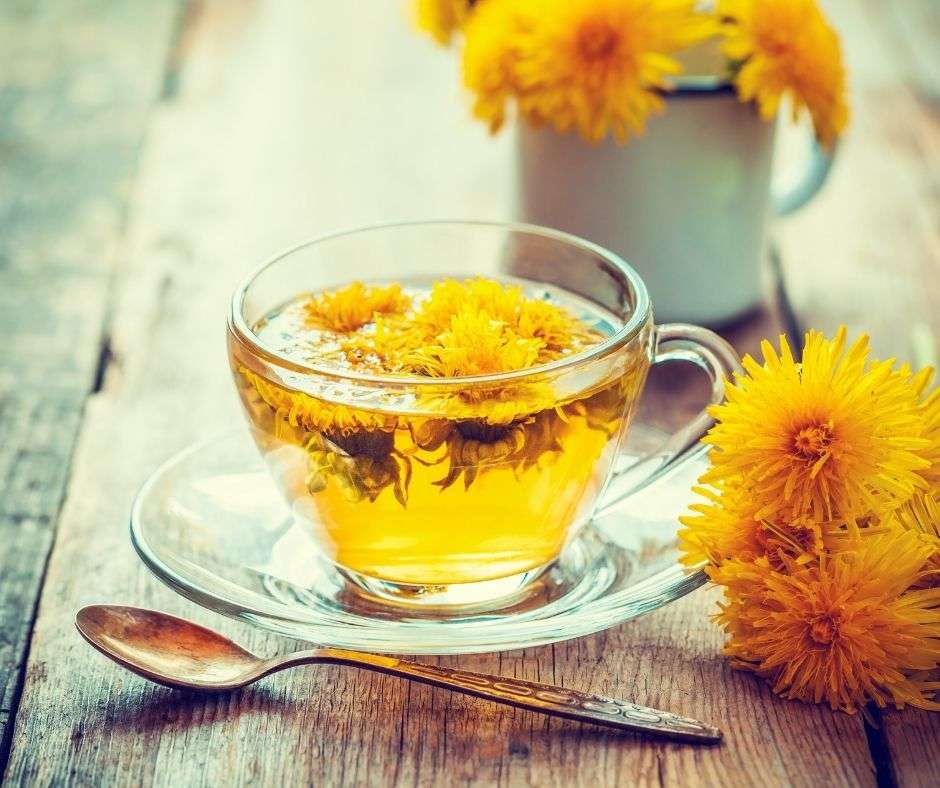 dandelion tea in a tea cup
